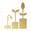 Yield Farming